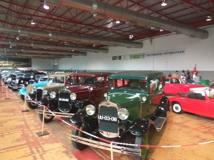 SAL&Atilde;O AUTOM&Oacute;VEL CL&Aacute;SSICOS