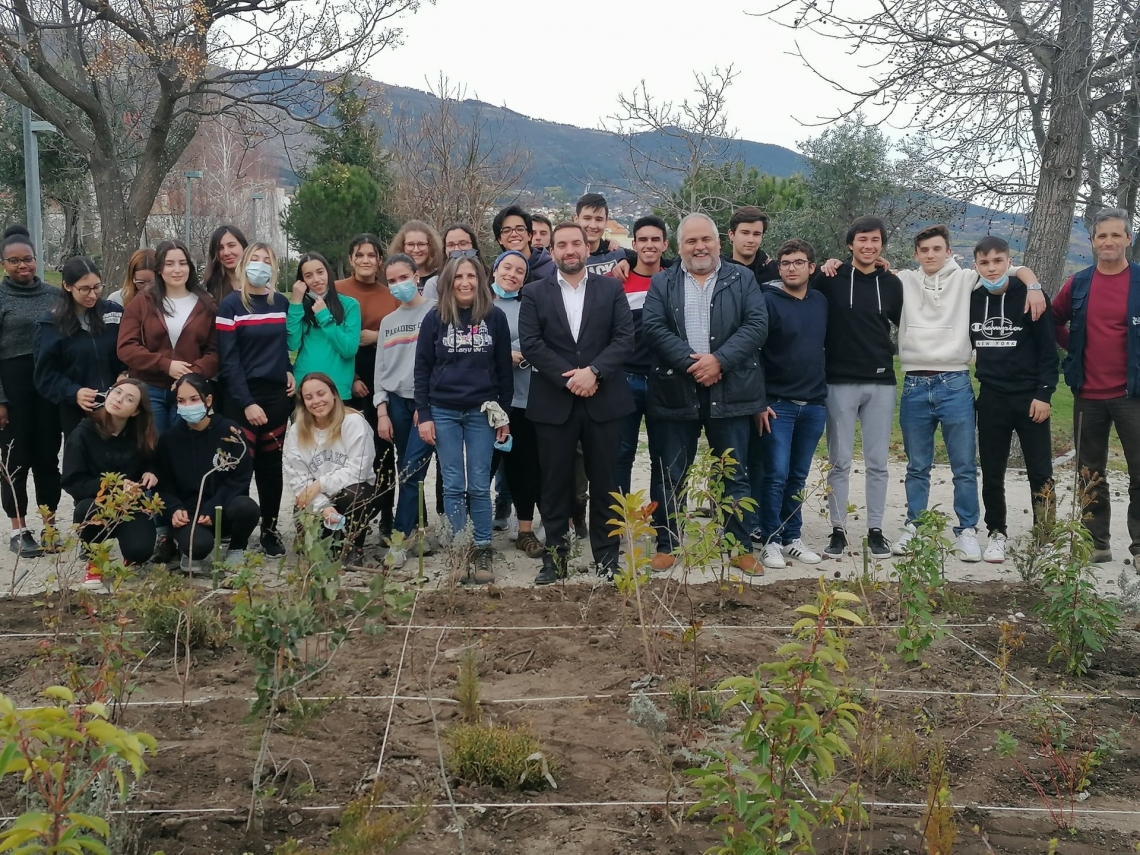 ADC associou-se ao projeto Pocket Forest"