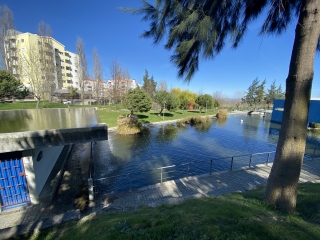 Jardim do Lago