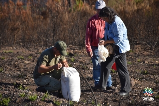 Sementeira de centeio