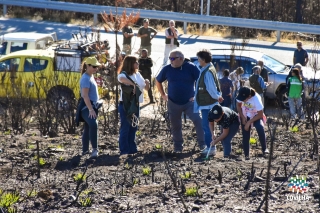 Sementeira de centeio