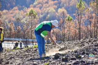 Sementeira de centeio