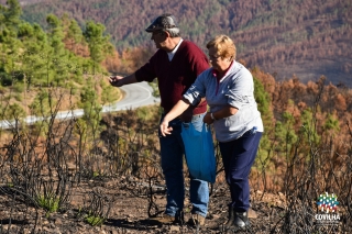 Sementeira de centeio