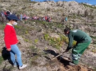 Eco-Escolas
