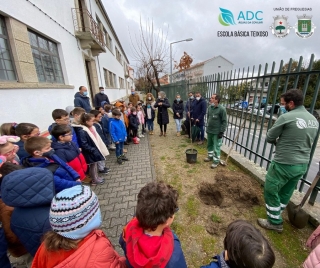 Dia Mundial da rvore