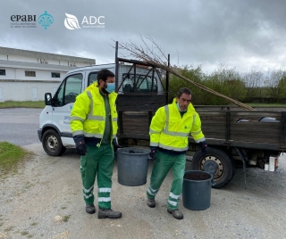 Dia Mundial da rvore