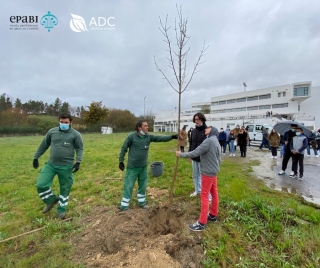 Dia Mundial da rvore