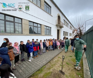 Dia Mundial da rvore