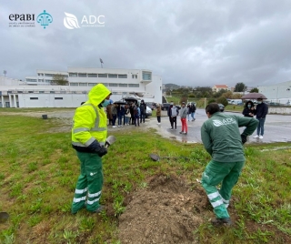 Dia Mundial da rvore