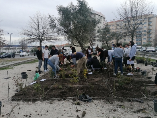 ADC associou-se ao projeto Pocket Forest"